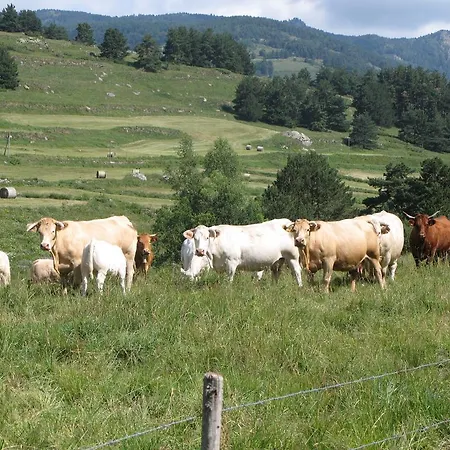 Maison Sarda Couette-café